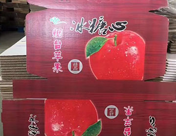 青島水果禮品包裝蘋果